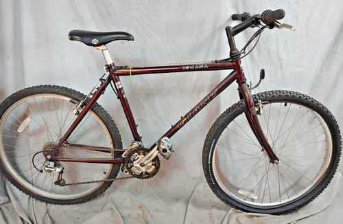 1998 giant iguana - 1998, mtb